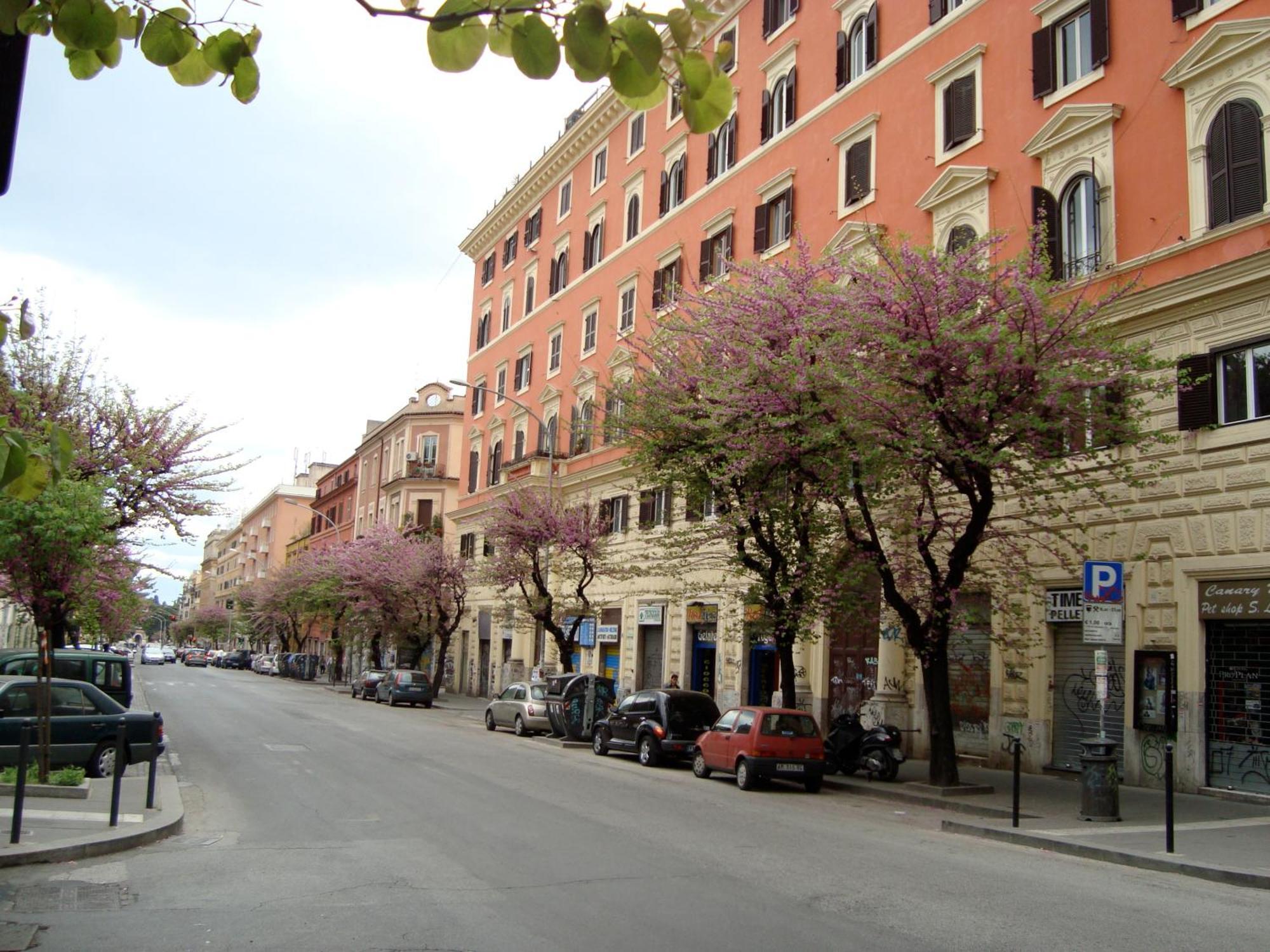 Mamomi House Apartment Rome Exterior photo